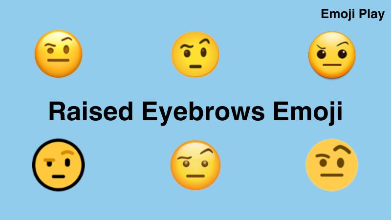 Raised Eyebrows Emoji